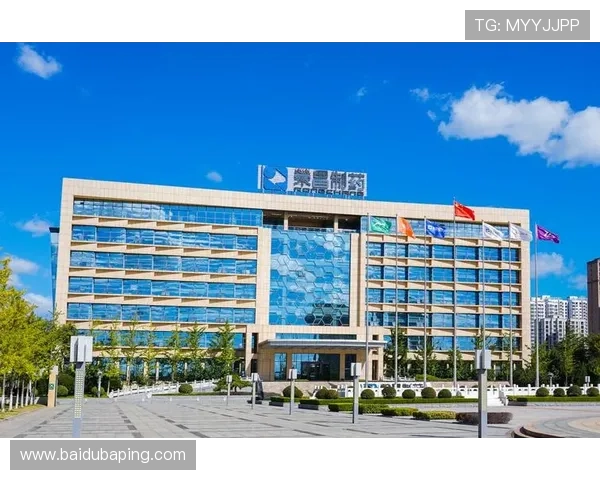 K8凯发登录下载官方渠道，确保每一次下载都安全可靠无病毒