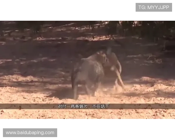 凯发中国区天生赢家一触即发:最新赛事动态与玩家实战技巧分享 凯发中国区天生赢家一触即发:最新赛事动态与玩家实战技巧分享