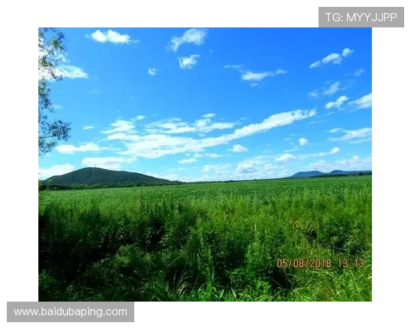 凯发电游安全保障措施：保障玩家资金与个人信息安全的实用技巧